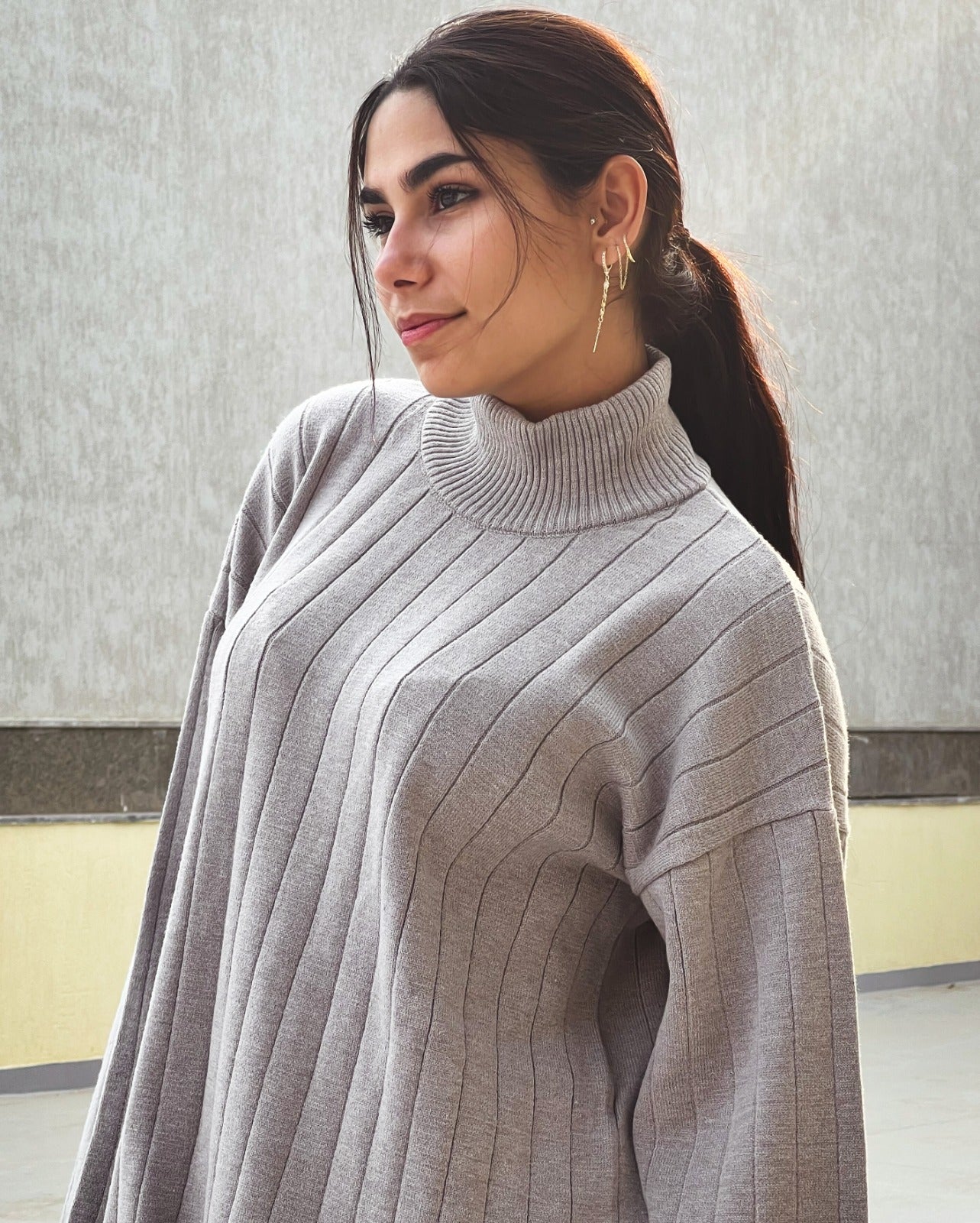 Ensemble de tricot à col roulé Gris